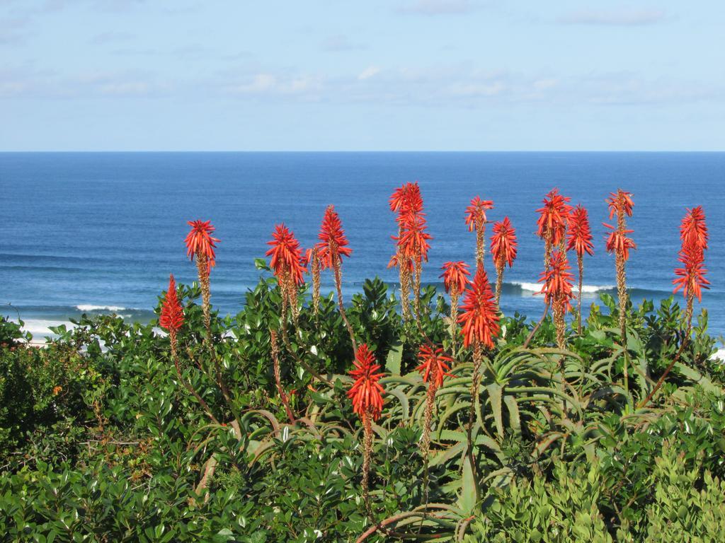 Melkhoutkloof Guest House Outeniqua Strand 외부 사진